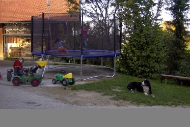 Herzlich Willkommen auf dem Schorerhof im Allgäu (Bayern)